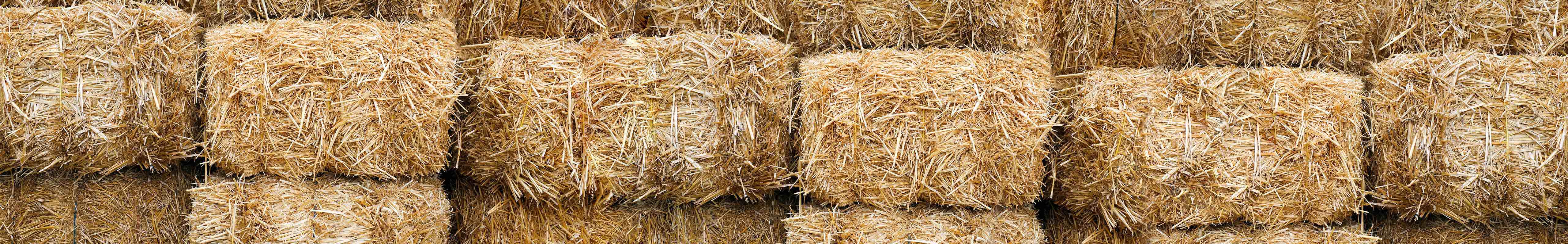 Mehrere große, runde Heuballen sind in Reihen gestapelt und füllen den Rahmen. Die Ballen sind dicht gepackt und bestehen aus trockenem, goldenem Stroh, was ihnen ein strukturiertes und rustikales Aussehen verleiht.